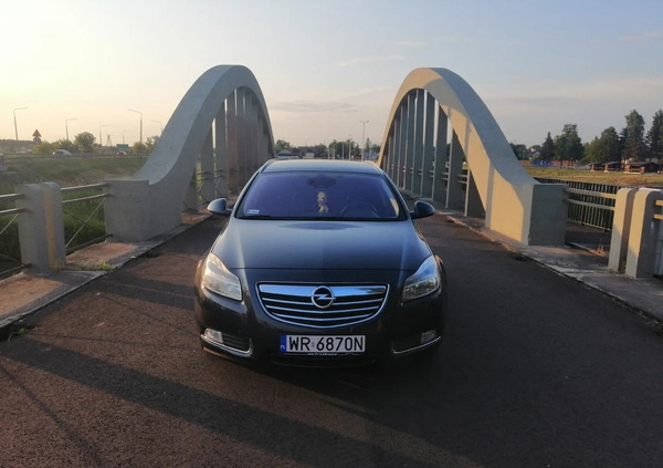 Opel Insignia cena 22500 przebieg: 255852, rok produkcji 2010 z Radom małe 172